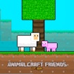 AnimalCraft Pals 2 Hráč